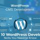 WordPress developer