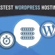 Fastest WordPress hosting